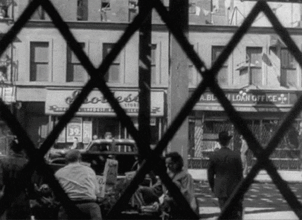 ezgif.com-optimize-2