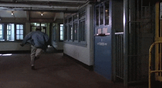 ezgif.com-optimize(5)