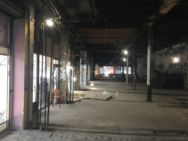 serp-lobster-wide-2018