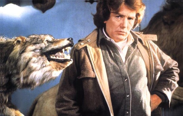 wolfen bts Finney by member of Canis lupus family