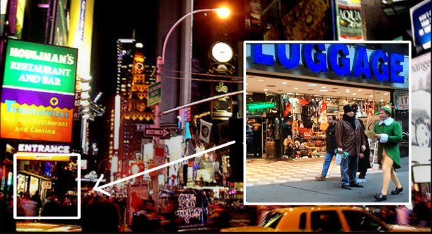 elf-flyers-smallluggage2