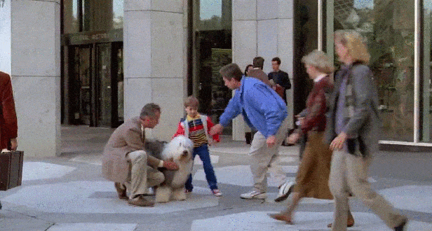 ezgif.com-gif-maker-3